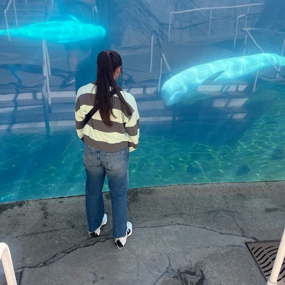 Meet your Posher, Bryn - Picture 3 of 16